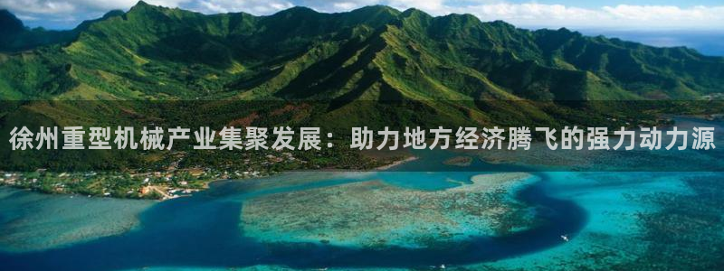 举报龙八国际