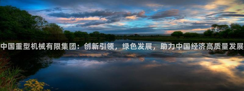 龙 八国际