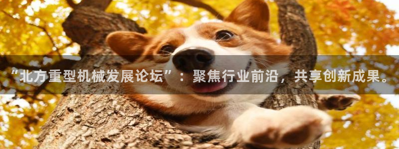 龙八国际pt游戏下载