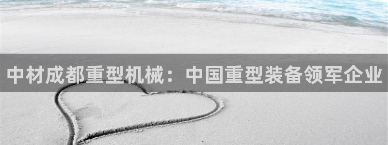 龙八国际网页版本