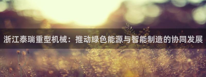 龙八国际客户端pt
