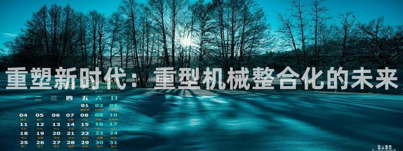 怎么举报龙八国际