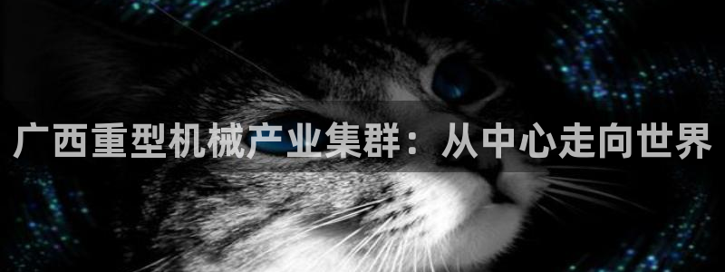 龙八国际娱乐老虎机