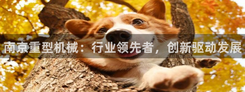龙八国际娱乐app