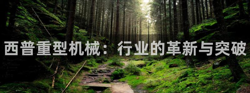 龙八国际服官网下载
