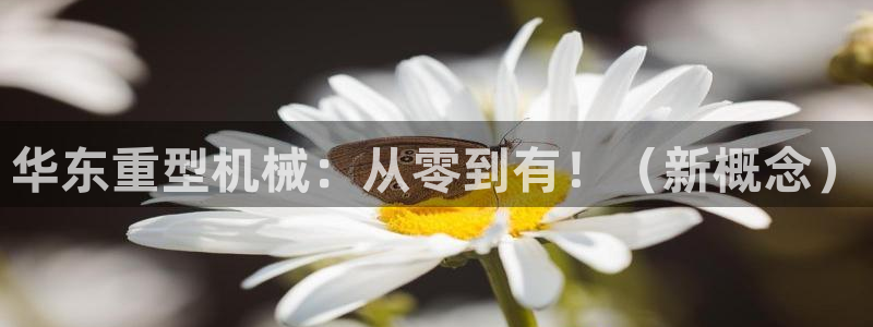 龙八国际娱乐pt老虎机