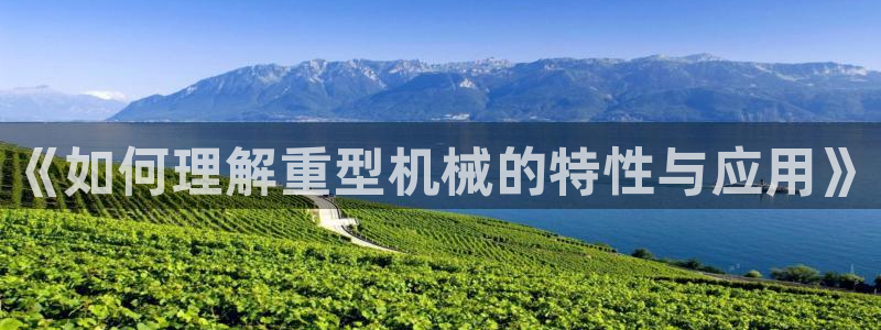 龙八国际服官网