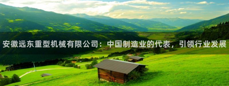 龙八国际视频网站