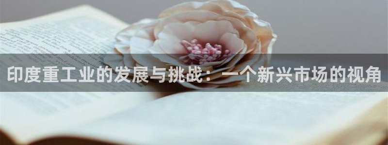 龙八国际网页long8868
