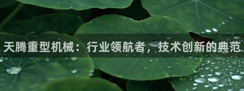 下载龙八国际手机版游戏