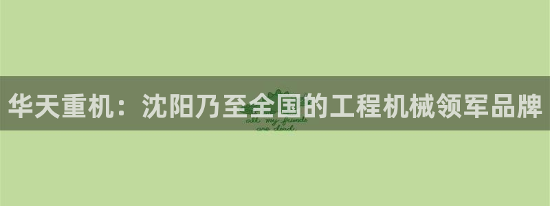 天津龙八国际