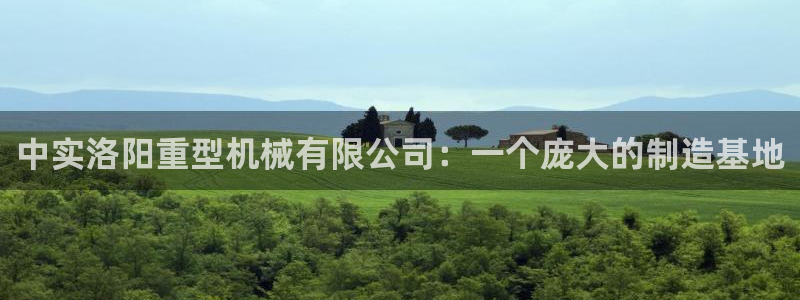 正规龙八国际