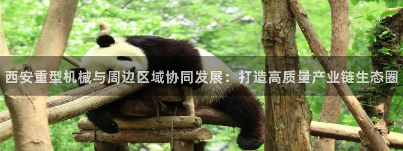 龙八国际服官网下载