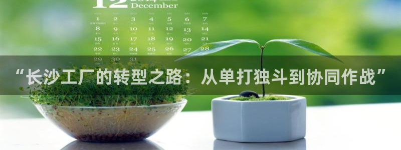 龙八国际
