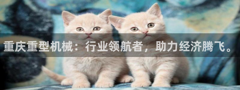 下载龙八国际手机版手游