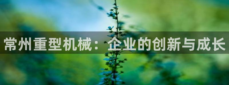 头号玩家龙八国际网址