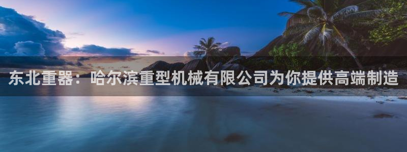 龙八国际客服