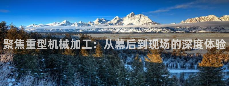 龙八国际游戏