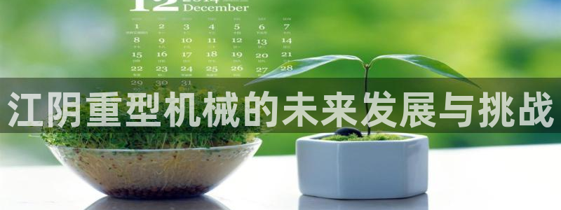 举报龙八国际