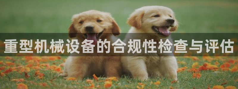 龙八国际交响乐