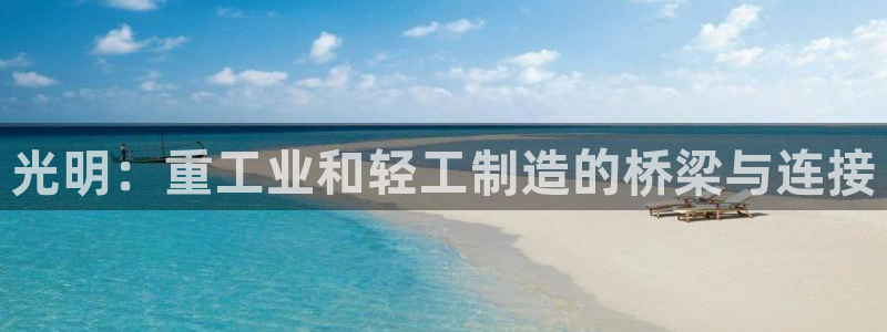 龙八国际彩金购买