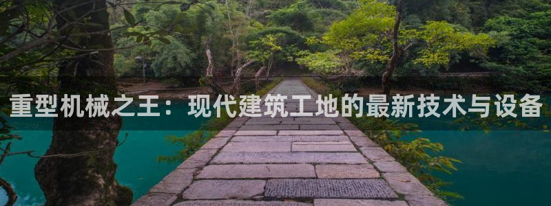 龙八国际不可思议的气球