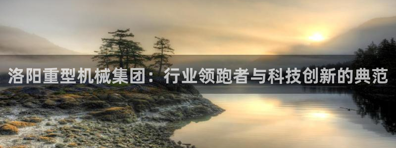 不会玩龙八国际