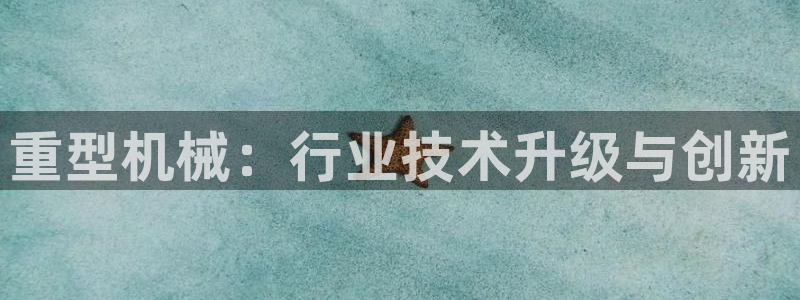 龙八国际版游戏