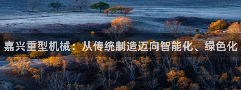 龙八国际刘佳烨