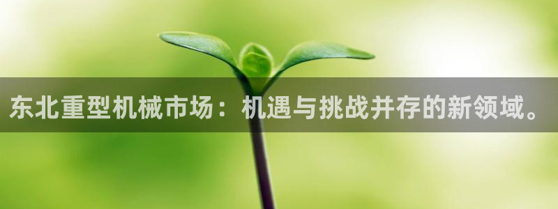 龙八国际是个什么游戏