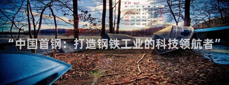 龙八国际头号玩家下截