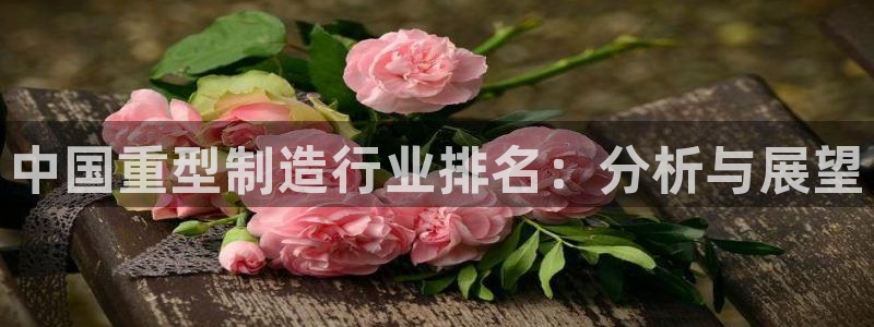 龙八国际手机版下载安卓