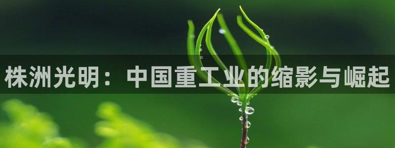 龙八国际app客户端下载手机版