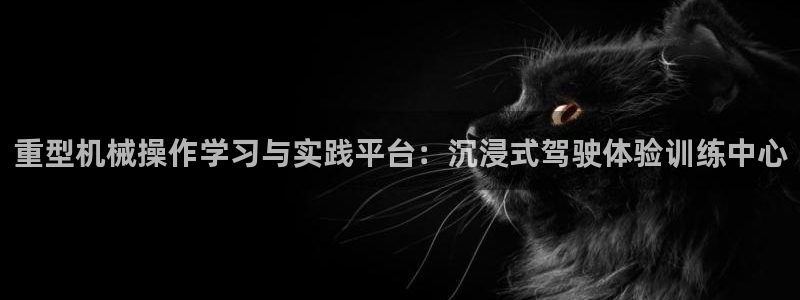 龙八国际娱乐网站