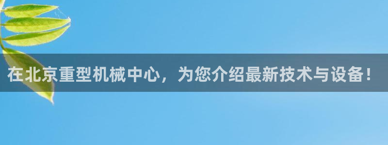 龙八国际黑钱