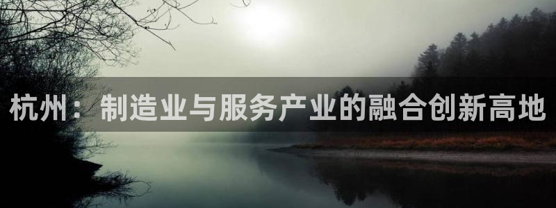 龙八国际服官方