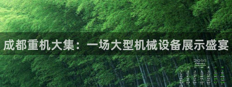 龙八国际网站全网