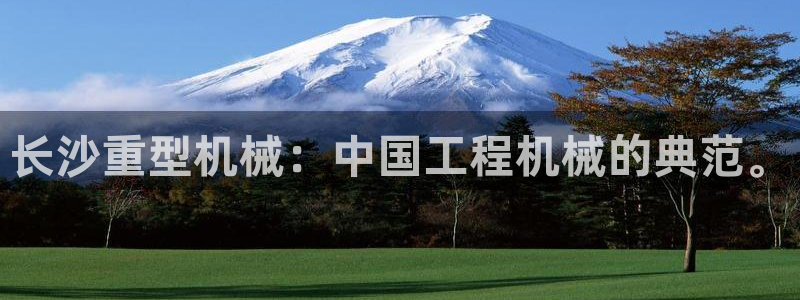 龙八国际手机app