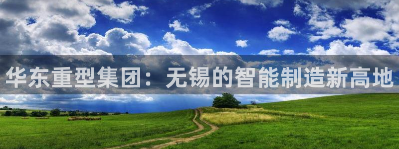 冯文戈 龙八国际集团