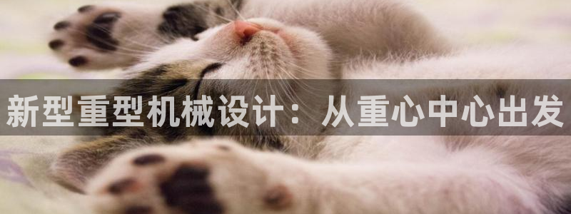 龙八国际娱乐预约