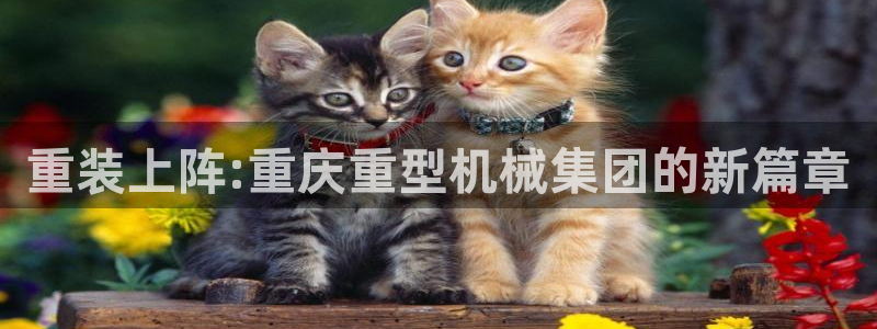 龙八国际客户端下载安装