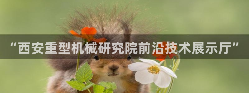 龙八国际网页long