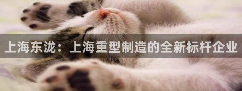 龙八国际交响乐