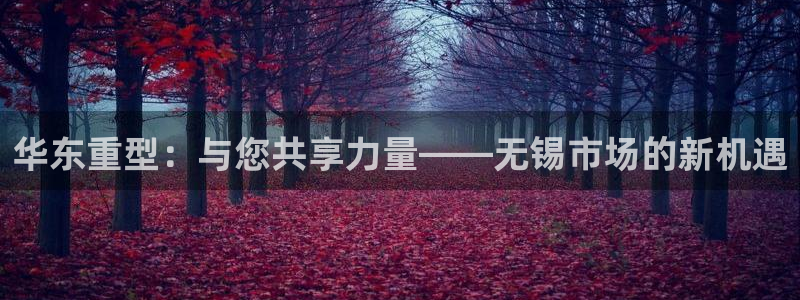 龙八国际娱乐客服