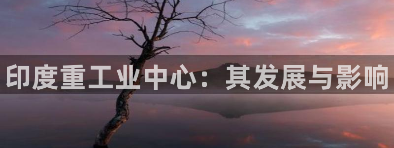 国际龙八国集团