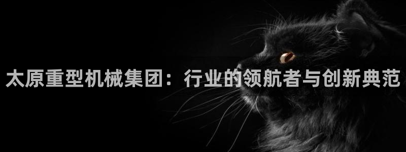 龙八国际pt娱乐