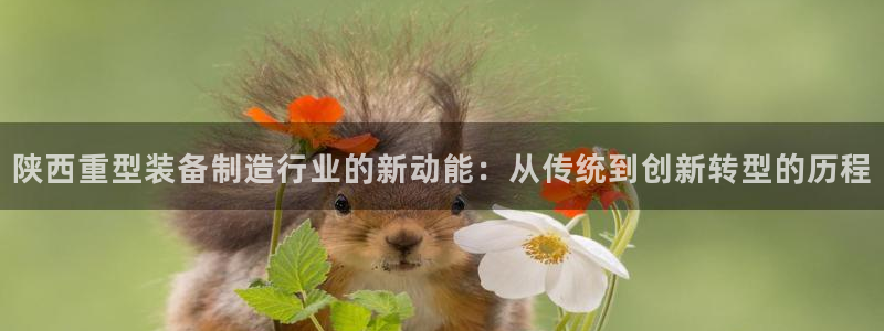 龙八国际代理app