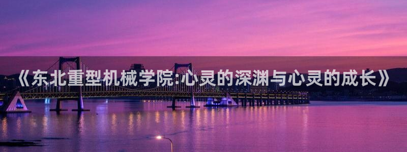 龙八国际手机版下载安装app