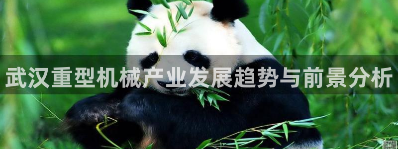 龙八国际优惠券有什么用