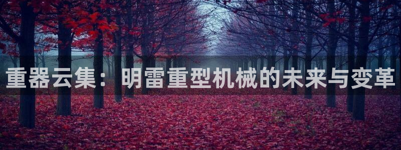 龙八国际官网app